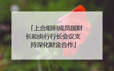 上合组织成员国财长和央行行长会议支持深化财金合作