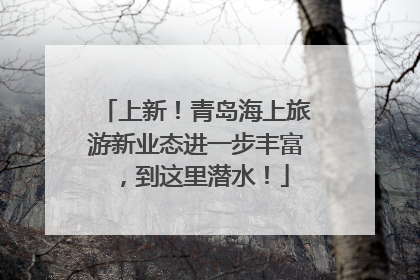上新！青岛海上旅游新业态进一步丰富，到这里潜水！