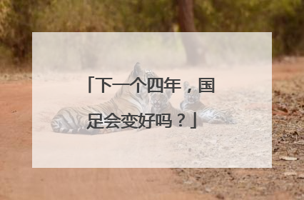 下一个四年，国足会变好吗？