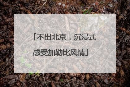 不出北京，沉浸式感受加勒比风情