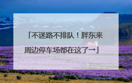 不迷路不排队！胖东来周边停车场都在这了→