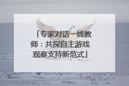 专家对话一线教师：共探自主游戏观察支持新范式