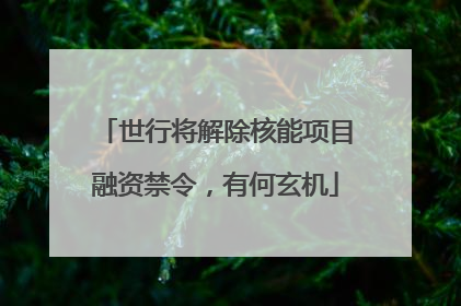 世行将解除核能项目融资禁令，有何玄机