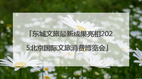 东城文旅最新成果亮相2025北京国际文旅消费博览会