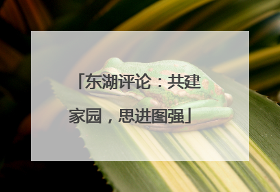 东湖评论：共建家园，思进图强