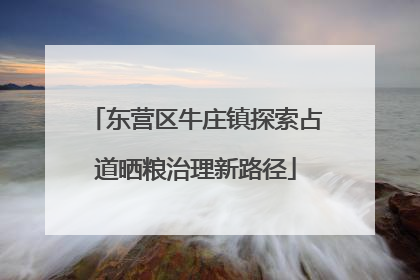 东营区牛庄镇探索占道晒粮治理新路径