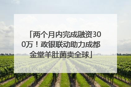 两个月内完成融资300万！政银联动助力成都金堂羊肚菌卖全球