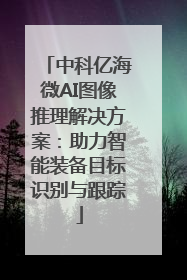 中科亿海微AI图像推理解决方案：助力智能装备目标识别与跟踪