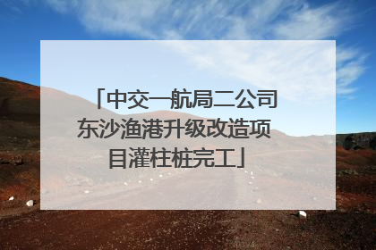 中交一航局二公司东沙渔港升级改造项目灌柱桩完工