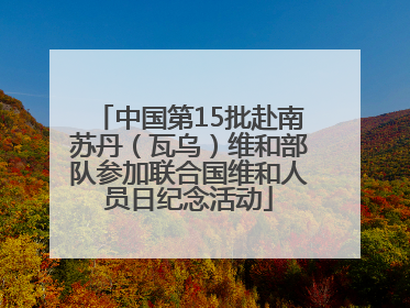 中国第15批赴南苏丹（瓦乌）维和部队参加联合国维和人员日纪念活动
