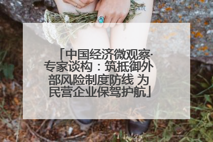 中国经济微观察·专家谈构：筑抵御外部风险制度防线 为民营企业保驾护航