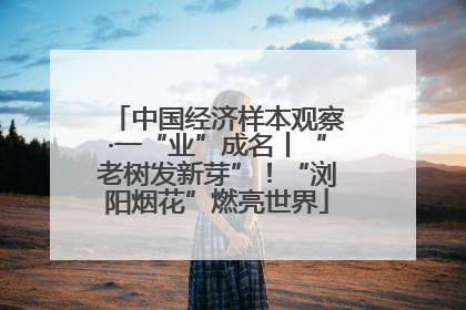 中国经济样本观察·一“业”成名丨“老树发新芽”！“浏阳烟花”燃亮世界