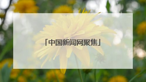 中国新闻网聚焦