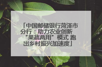 中国邮储银行菏泽市分行：助力农业创新 “果蔬两用”模式 跑出乡村振兴加速度