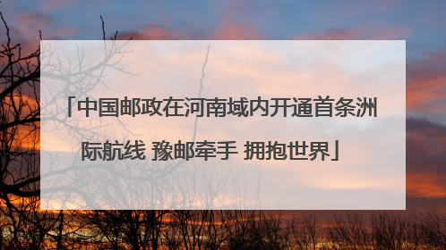 中国邮政在河南域内开通首条洲际航线 豫邮牵手 拥抱世界