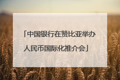 中国银行在赞比亚举办人民币国际化推介会