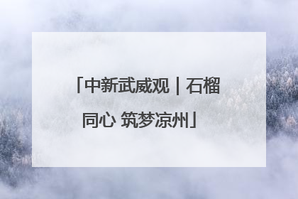 中新武威观｜石榴同心 筑梦凉州