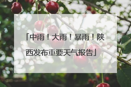 中雨！大雨！暴雨！陕西发布重要天气报告