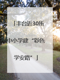 丰台近30所中小学建“彩色学安路”