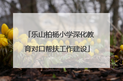 乐山柏杨小学深化教育对口帮扶工作建设