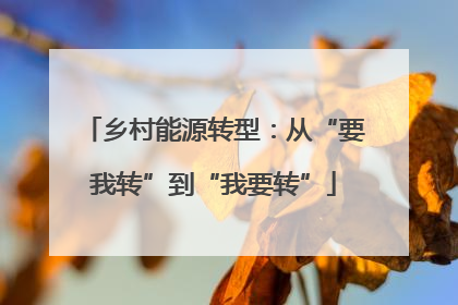 乡村能源转型：从“要我转”到“我要转”