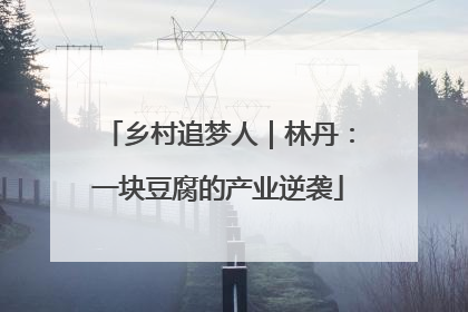 乡村追梦人｜林丹：一块豆腐的产业逆袭