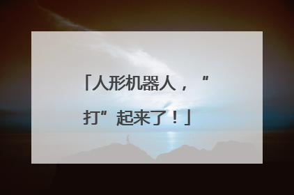 人形机器人，“打”起来了！