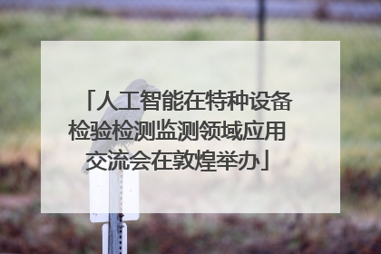 人工智能在特种设备检验检测监测领域应用交流会在敦煌举办