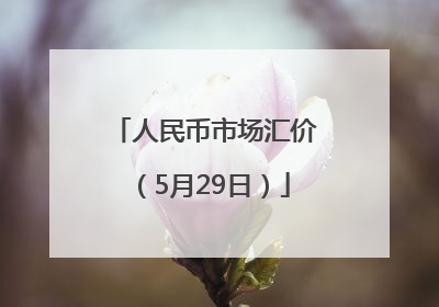 人民币市场汇价（5月29日）