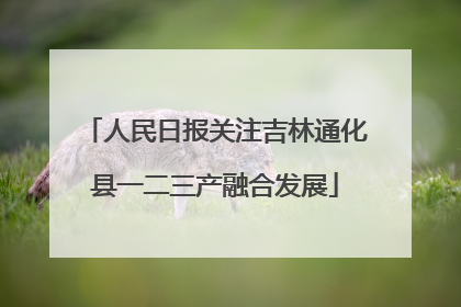 人民日报关注吉林通化县一二三产融合发展