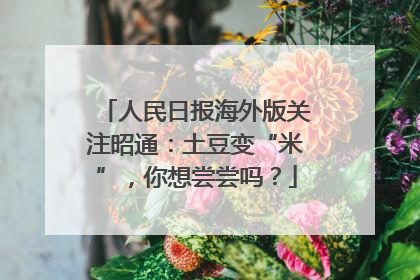 人民日报海外版关注昭通：土豆变“米”，你想尝尝吗？