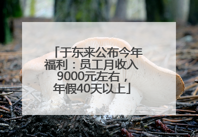 于东来公布今年福利：员工月收入9000元左右，年假40天以上