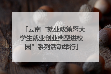 云南“就业政策暨大学生就业创业典型进校园”系列活动举行