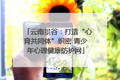 云南景谷：打造“心育共同体”织密 青少年心理健康防护网