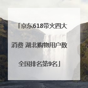 京东618带火四大消费 湖北购物用户数全国排名第9名