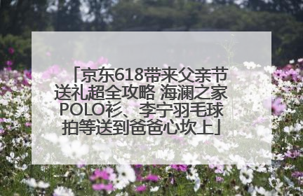 京东618带来父亲节送礼超全攻略 海澜之家POLO衫、李宁羽毛球拍等送到爸爸心坎上