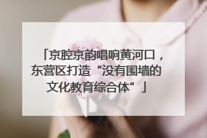 京腔京韵唱响黄河口，东营区打造“没有围墙的文化教育综合体”