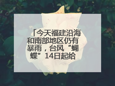 今天福建沿海和南部地区仍有暴雨，台风“蝴蝶”14日起给福建带来影响