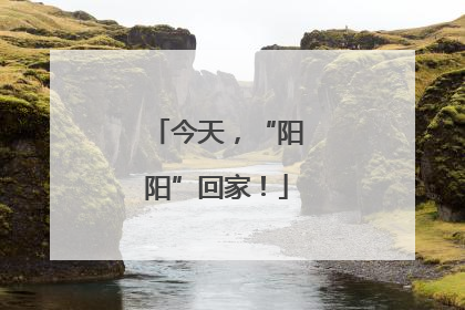 今天，“阳阳”回家！