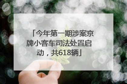 今年第一期涉案京牌小客车司法处置启动，共618辆