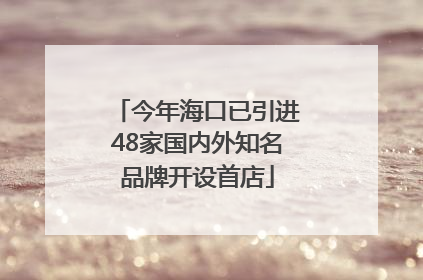 今年海口已引进48家国内外知名品牌开设首店
