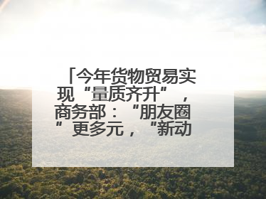 今年货物贸易实现“量质齐升”，商务部：“朋友圈”更多元，“新动能”加快集聚