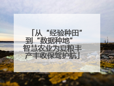 从“经验种田”到“数据种地” 智慧农业为夏粮丰产丰收保驾护航