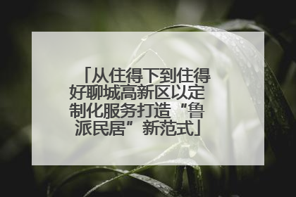 从住得下到住得好聊城高新区以定制化服务打造“鲁派民居”新范式