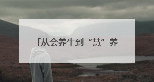 从会养牛到“慧”养牛——聊城市畜牧业现代化转型的启示