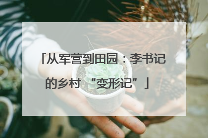 从军营到田园：李书记的乡村 “变形记”