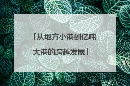 从地方小港到亿吨大港的跨越发展