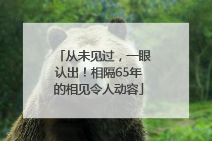 从未见过，一眼认出！相隔65年的相见令人动容