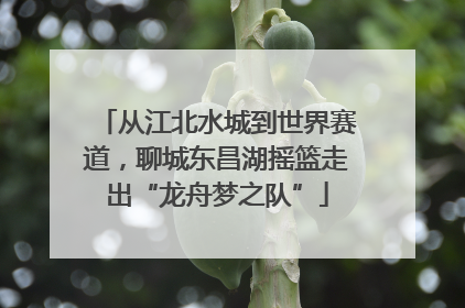 从江北水城到世界赛道，聊城东昌湖摇篮走出“龙舟梦之队”