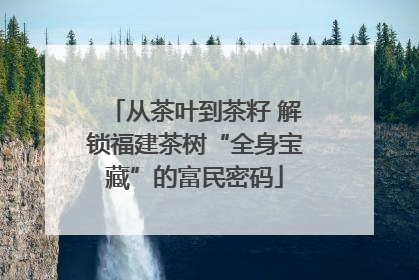 从茶叶到茶籽 解锁福建茶树“全身宝藏”的富民密码